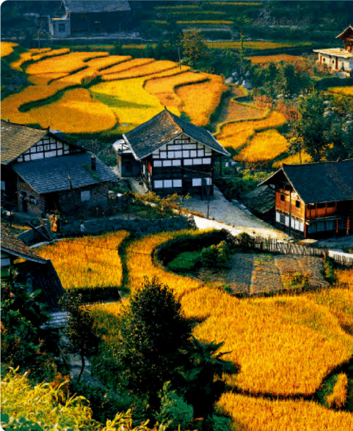 乡村美食旅游：“文化体验 产业联动 场景创新”的综合模式玩法！